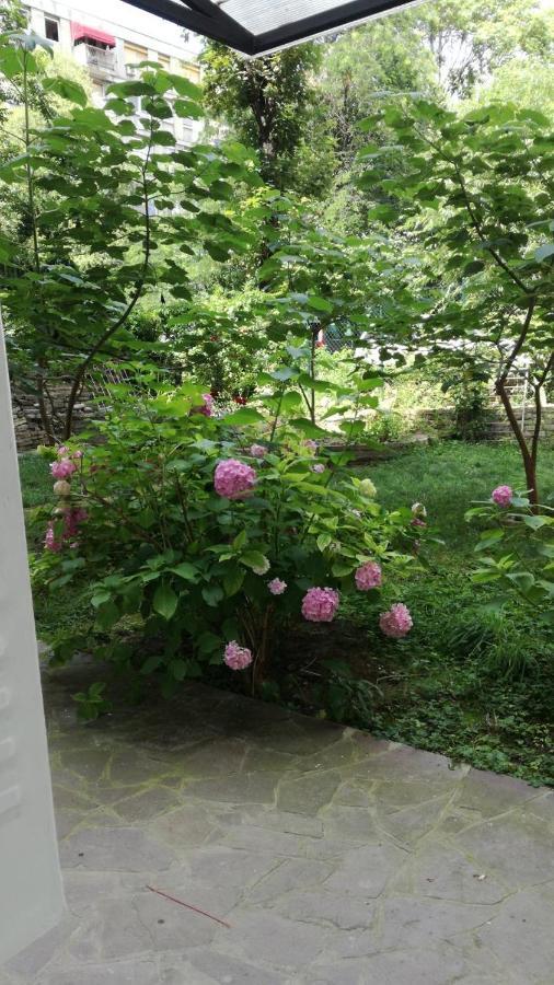 Apartament Vracar Krunska Jamiva Belgrad Zewnętrze zdjęcie